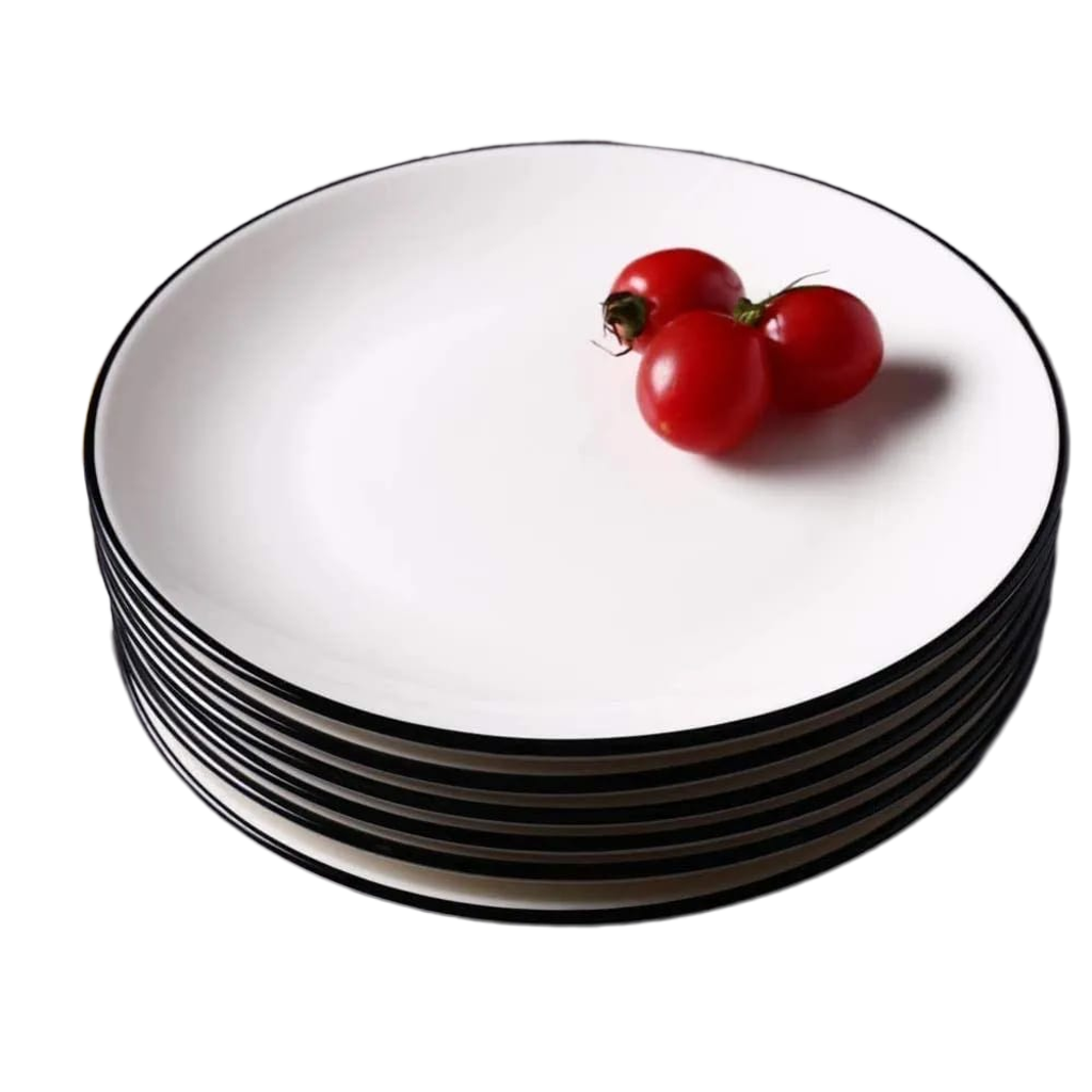 10 Piece Dinner Plate Set for Everyday Home Dining Now