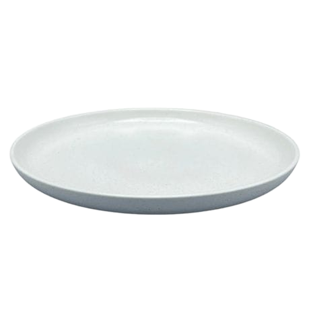 10 Piece White Plate Set Everyday Dining Casual Use