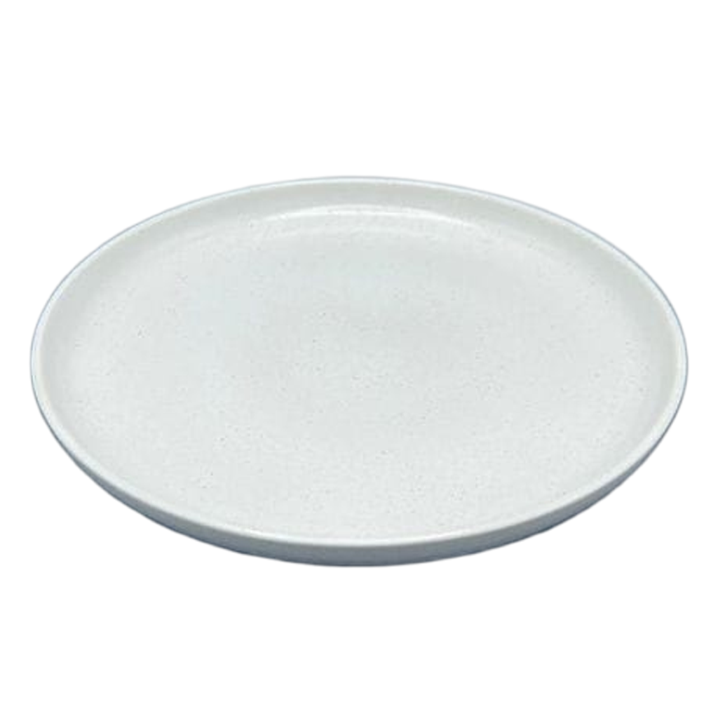10 Piece White Plate Set Everyday Dining Casual Use