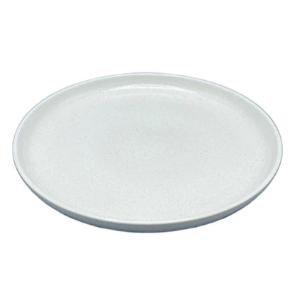 10 Piece White Plate Set Everyday Dining Casual Use