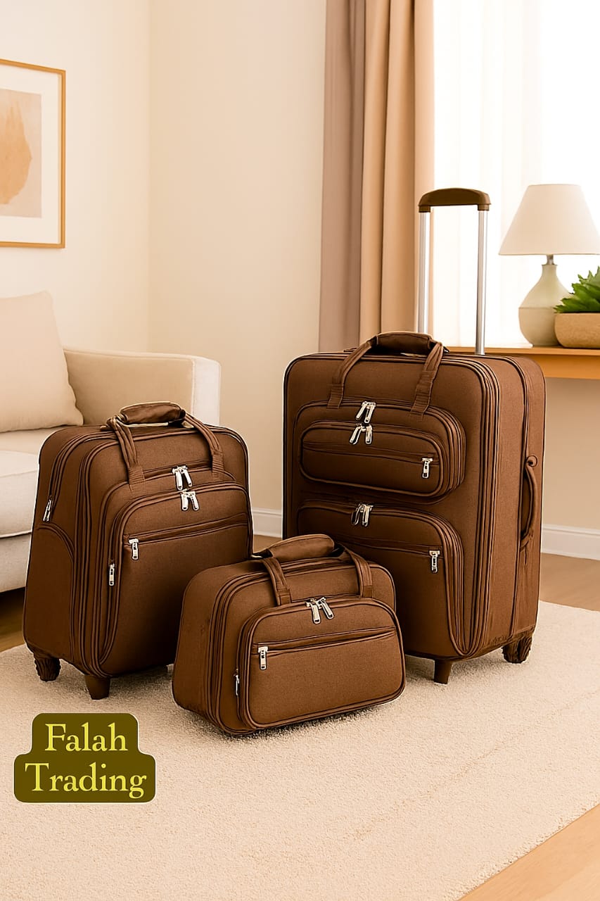 Travel Luggage Set With Spinner Wheels And TSA Lock