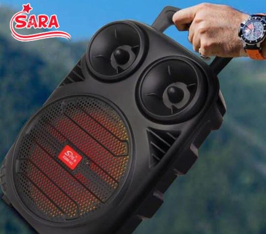 Karaoke Speaker System With Bluetooth Wireless Connectivity