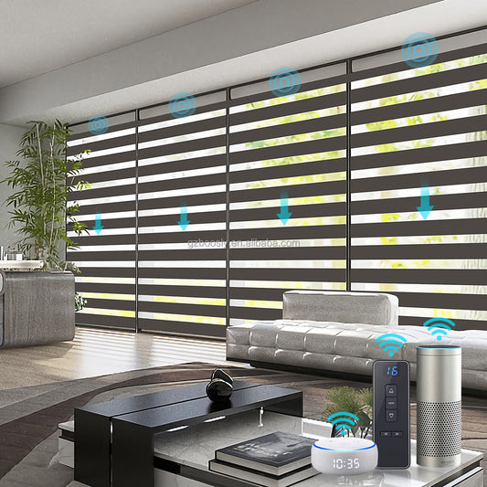 Motorized Zebra Blinds 250 x 200 CM Window Shades Premium