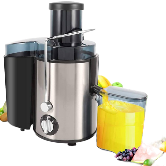 Electric Juicer