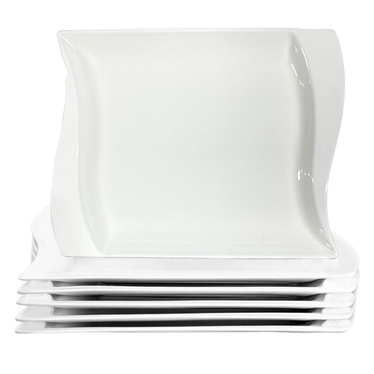 10 Piece Dinner Plate Set For Dining And Entertaining