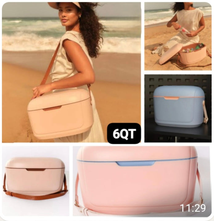 Cooler Box Bag