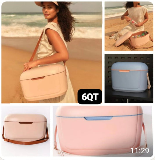 Cooler Box Bag