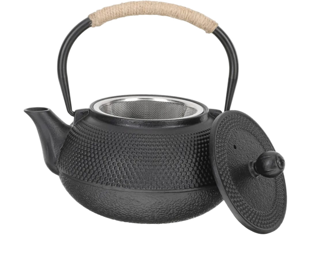 Cast Iron Tea Pot