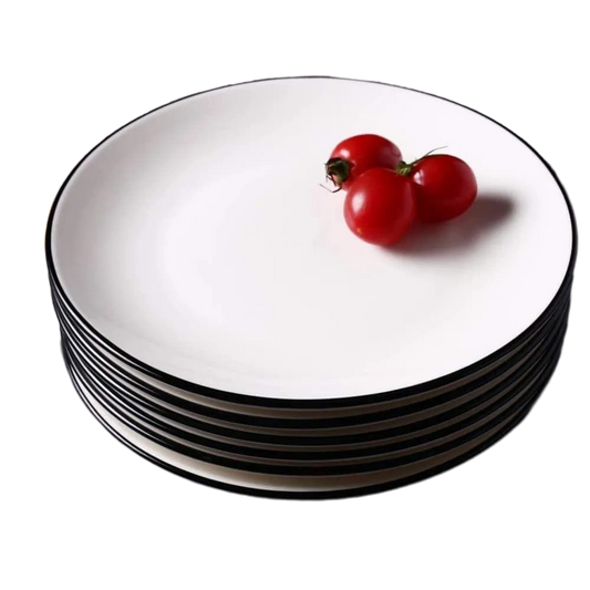 10 Piece Dinner Plate Set for Everyday Home Dining Now