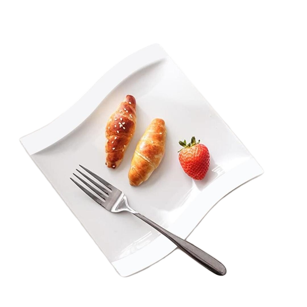 10 Piece Dinner Plate Set For Dining And Entertaining