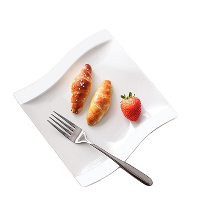 10 Piece Dinner Plate Set For Dining And Entertaining