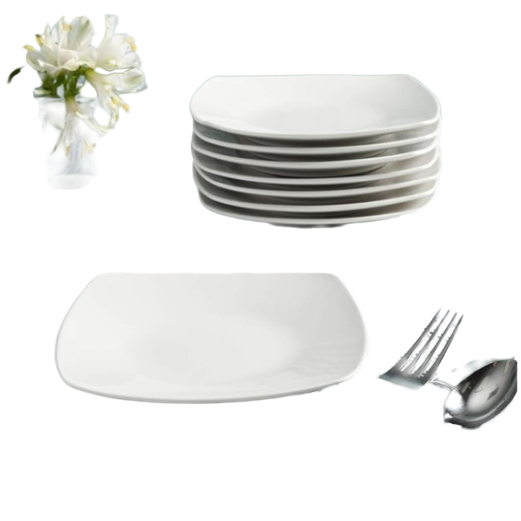10 Piece White Dinner Plates Set For Everyday Dining